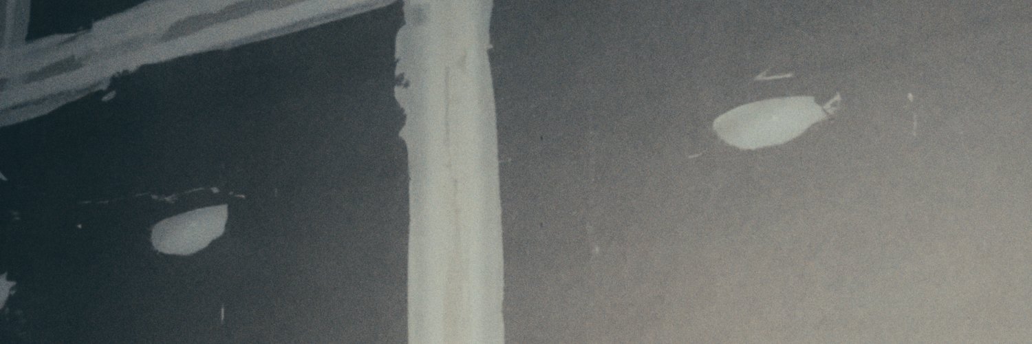 pedro's banner