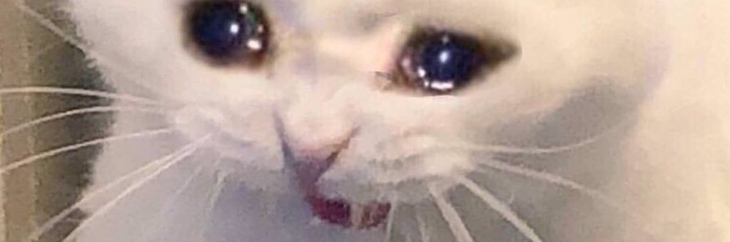 fran_tbh's profile banner image