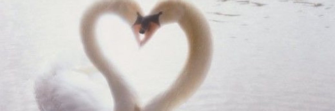 heavnwrds's profile banner image