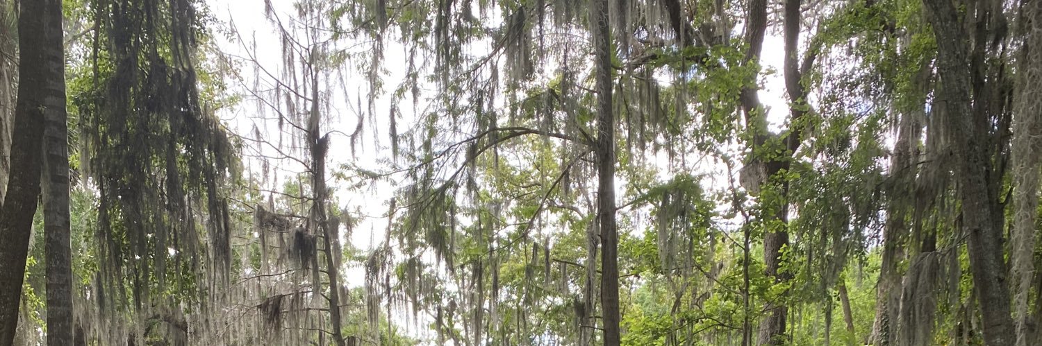 Heather Holden banner