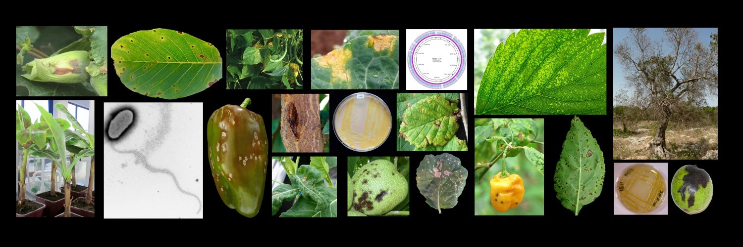 COST Action CA16107 banner