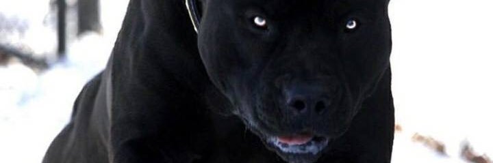 thokett's profile banner image
