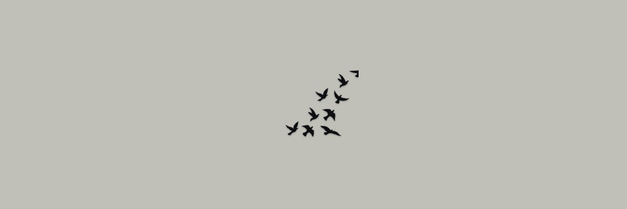 NeLbka5's profile banner image