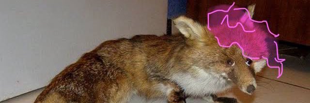 ✨ Lux Fox ✨ banner