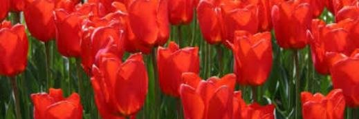 MercGmez's profile banner image