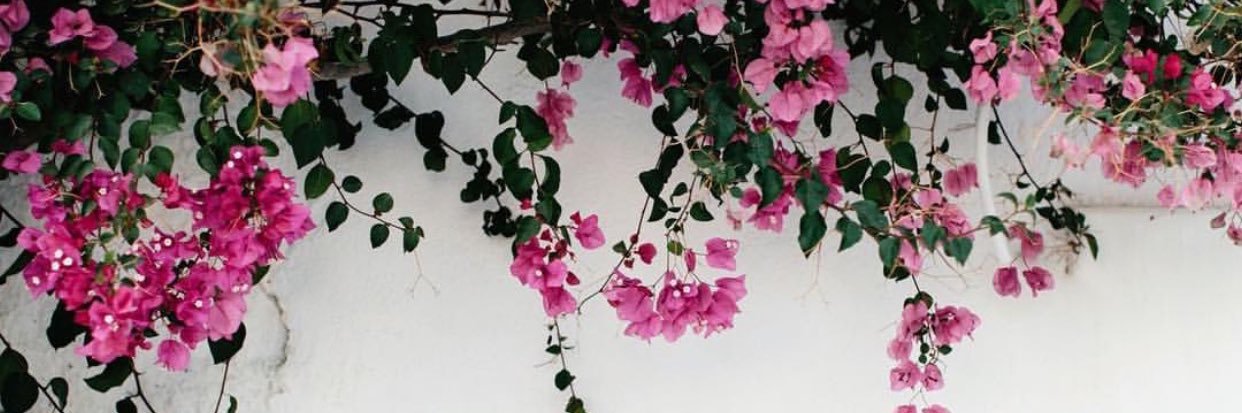 maiisaeed's profile banner image