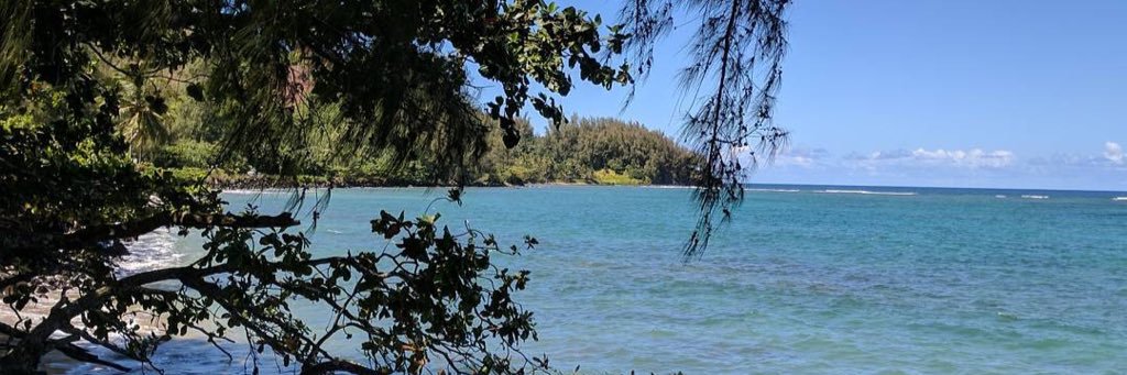 CruisinDoc's profile banner image