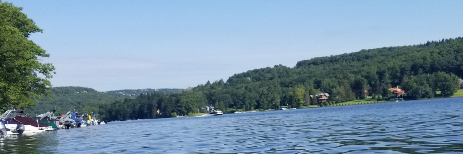 christylee220's profile banner image