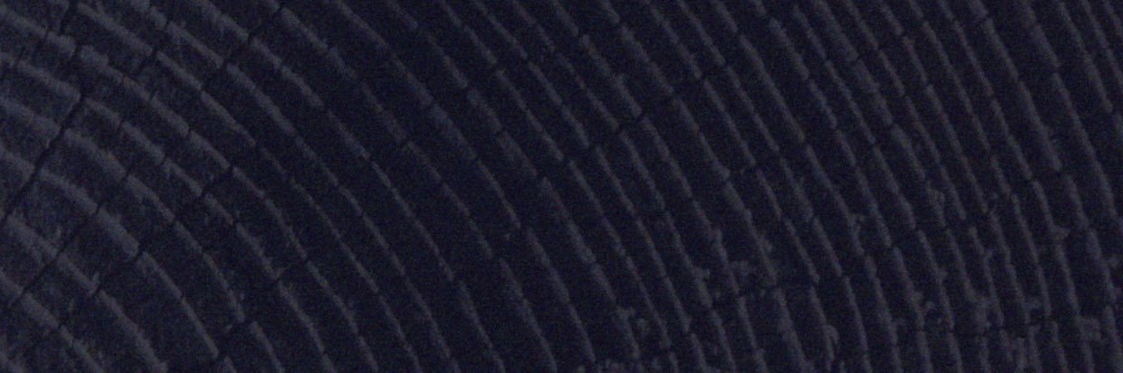 coedrecs's profile banner image