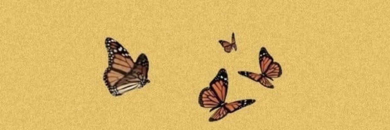 Andrea Arce banner