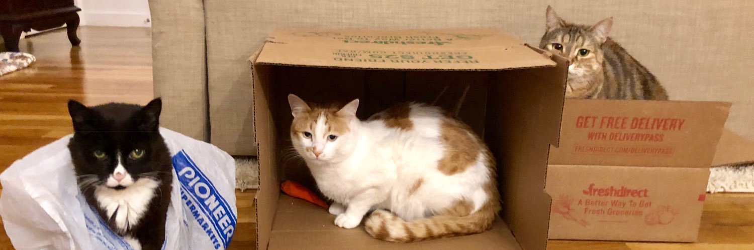 Dr. Danielle Kellogg banner