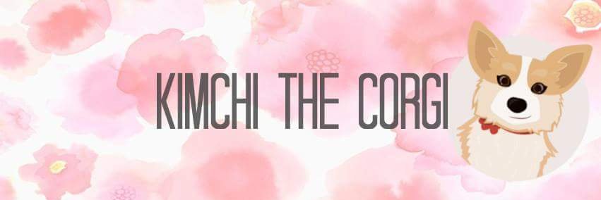 Kimchithecorgi banner