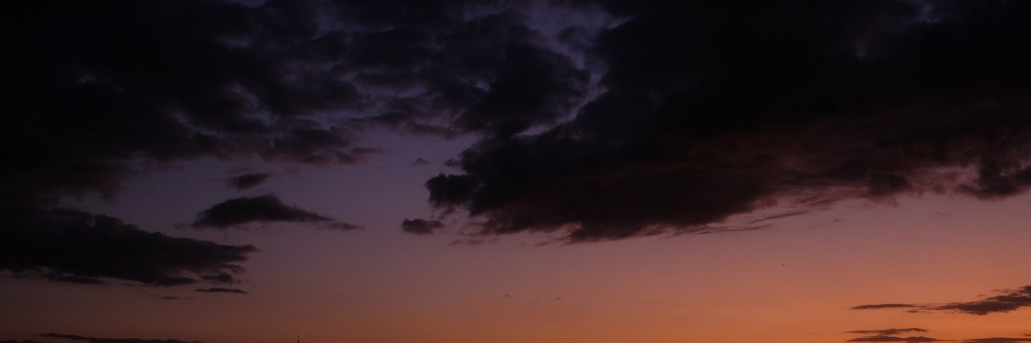 sofiaathiez's profile banner image