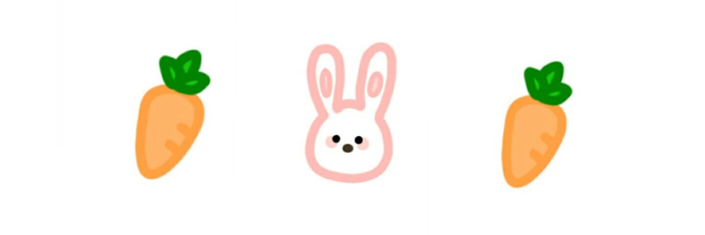 rabbitpouch_'s profile banner image