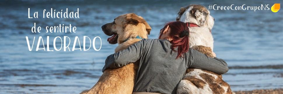 GrupoNS_ES's profile banner image