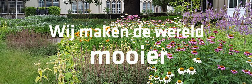 SIGHT Landscaping banner