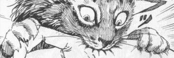6655321Cat's profile banner image