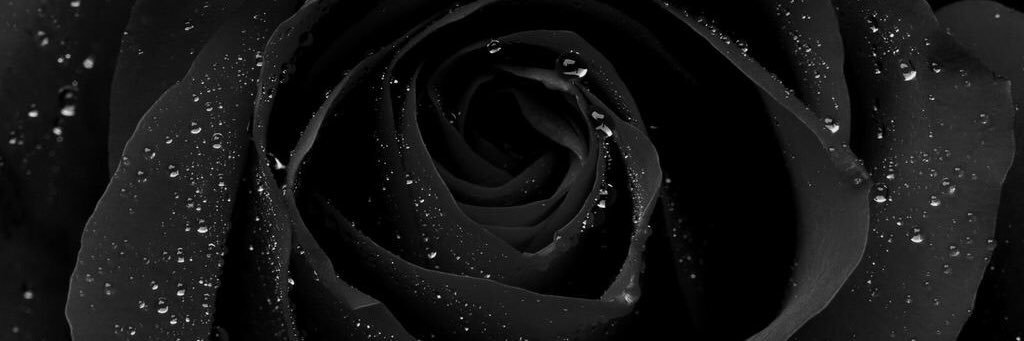 _xoKera's profile banner image