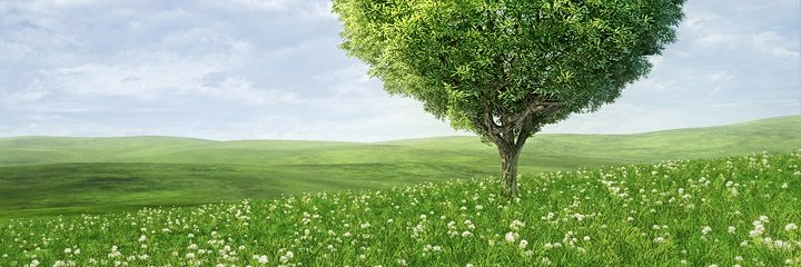 maryelvij's profile banner image
