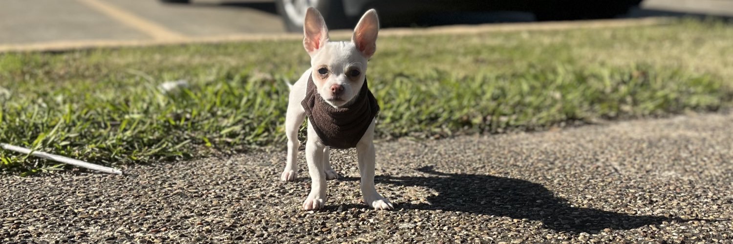 Oscar Mendez 🦋 banner