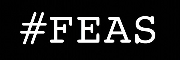 FEASproject Profile Banner