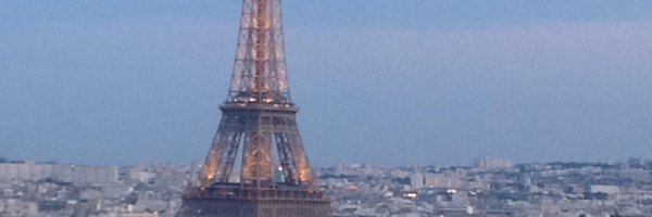 Michelle_Kindt Profile Banner