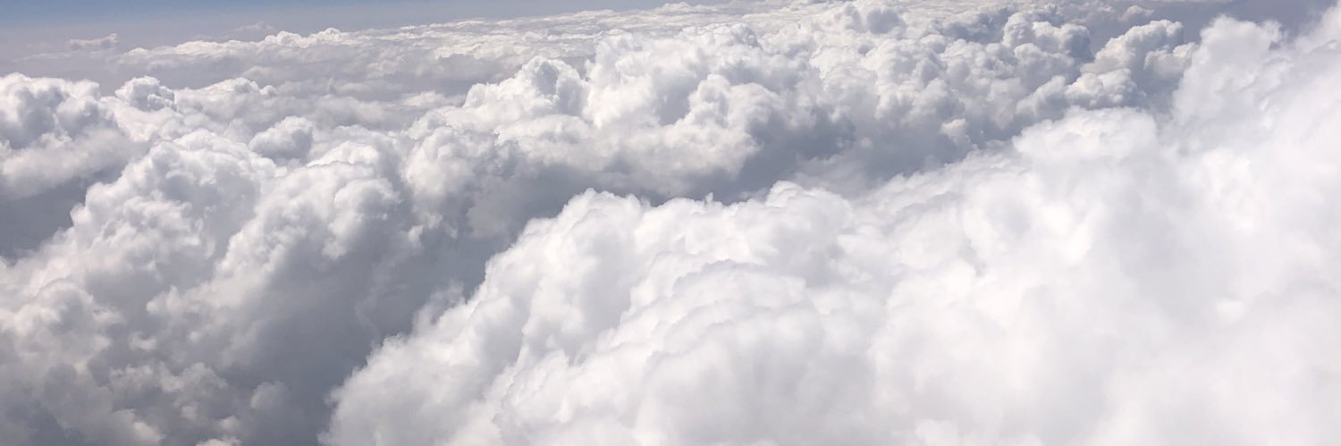 taylor_adato's profile banner image