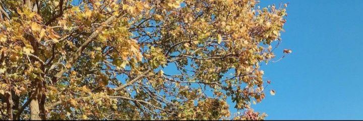 Steves6310's profile banner image