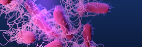 gutmicro2023 Profile Banner