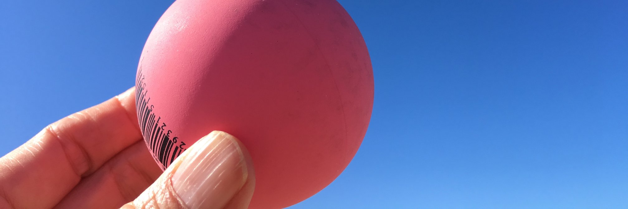 Alison Bechdel banner