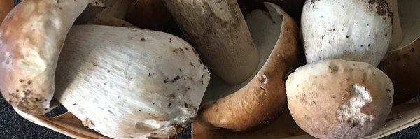 MOOCChampignons Profile Banner