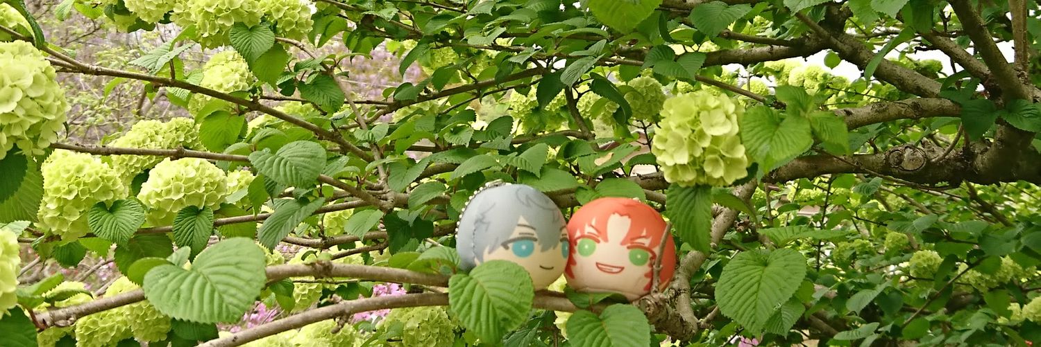 紅亜⚜️ banner