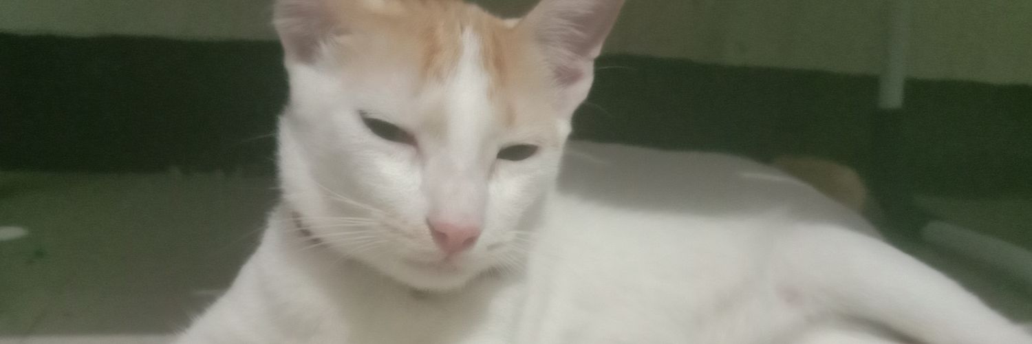 dyclarjasmine's profile banner image