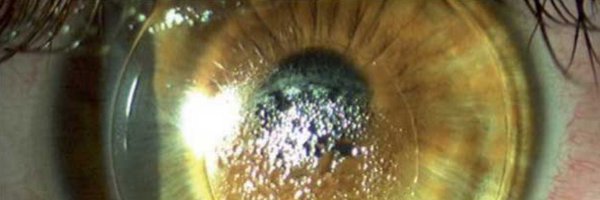 AVEHJournal Profile Banner