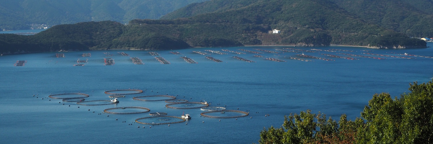 UMITRON | ウミトロン 公式 banner