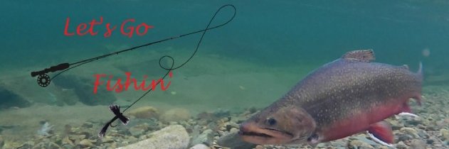 Let's Go Fishin' banner