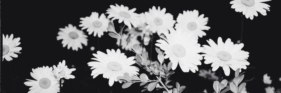 Daniruiz__'s profile banner image