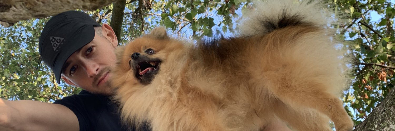 MGibsonB's profile banner image
