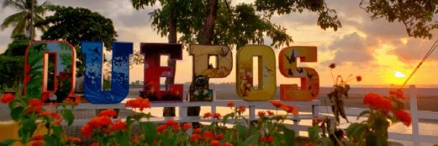 PeregrinoMorado 🟪⬜️4️⃣0️⃣ banner