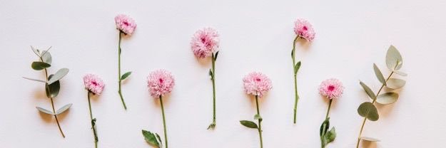 crystaIyves's profile banner image