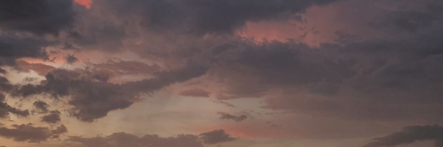 ⁿᵉⁱˡˢᵗ. (ᓀ‸ᓂ) banner