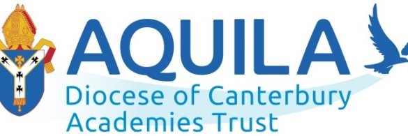 Aquila banner