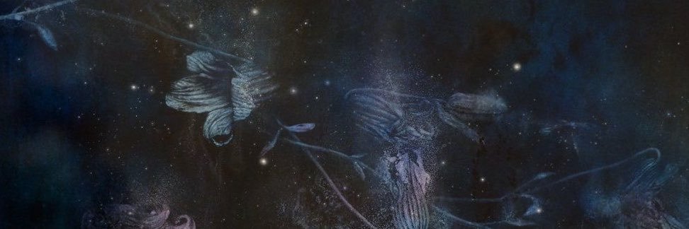 heartsclue's profile banner image
