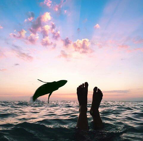 Zolomon Hardy banner