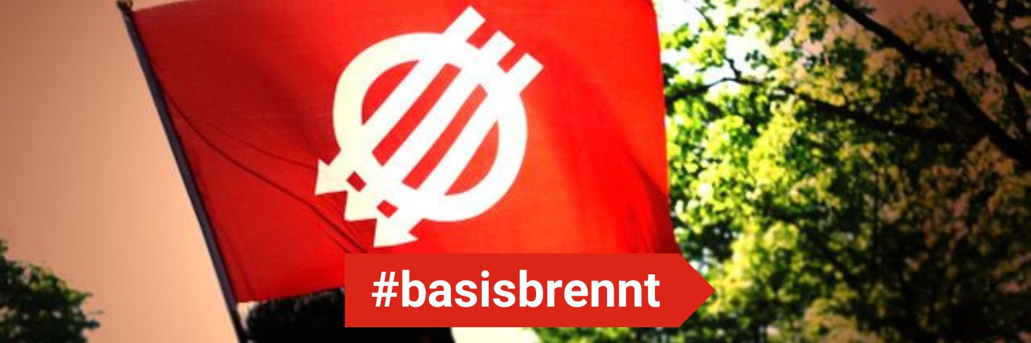 ben orpheo banner