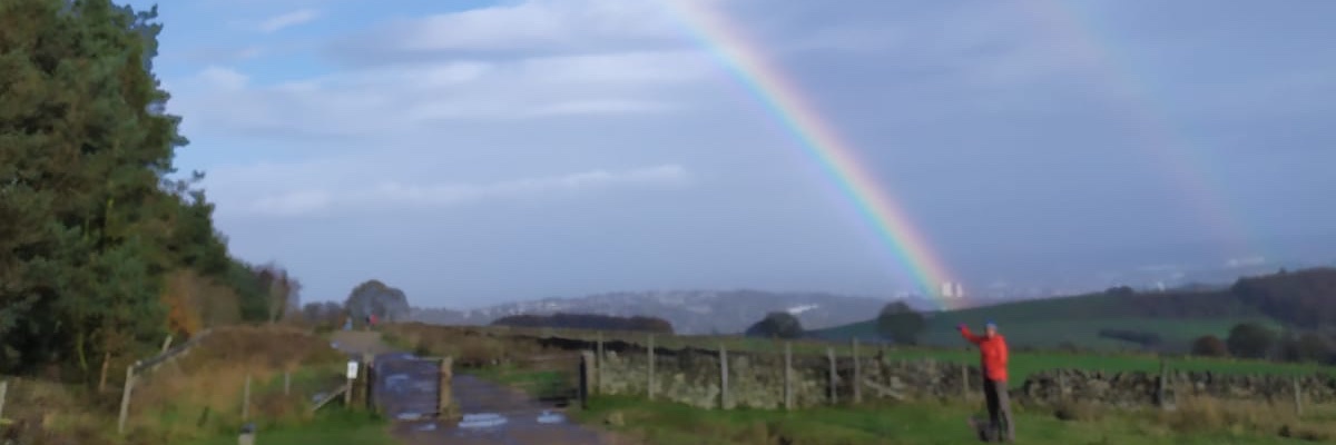 Sprightly Whiteley banner