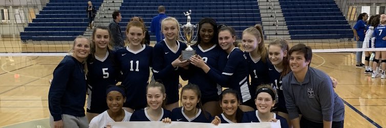 WL Volleyball banner