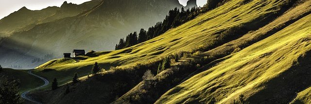 ElsouBarou's profile banner image