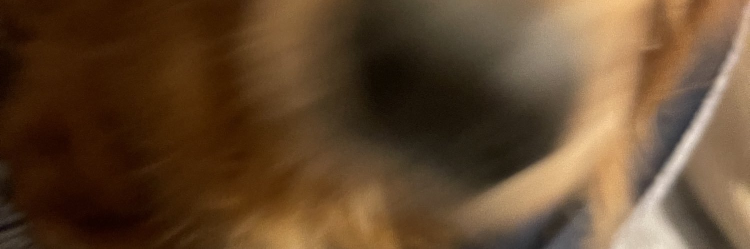 ぴよりん@取引 banner