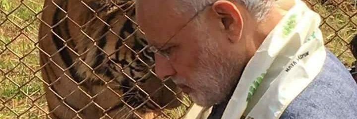 sanku1987's profile banner image